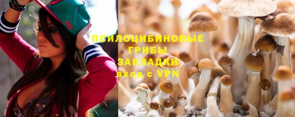 a pvp Белокуриха