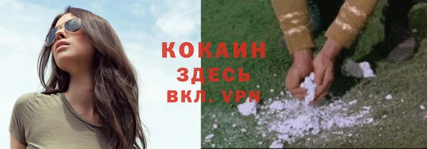 a pvp Белокуриха