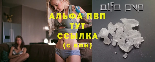 эйфоретик Беломорск