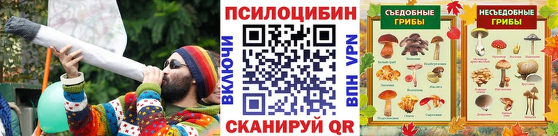 Псилоцибиновые грибы Psilocybine cubensis  купить наркотики сайты  Воскресенск 